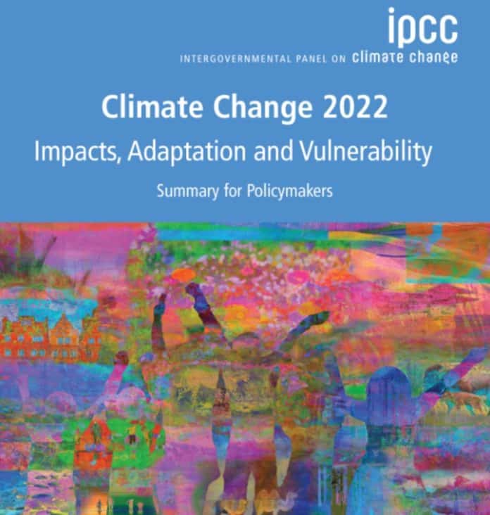 cambiamenti climatici report IPCC sugli impatti